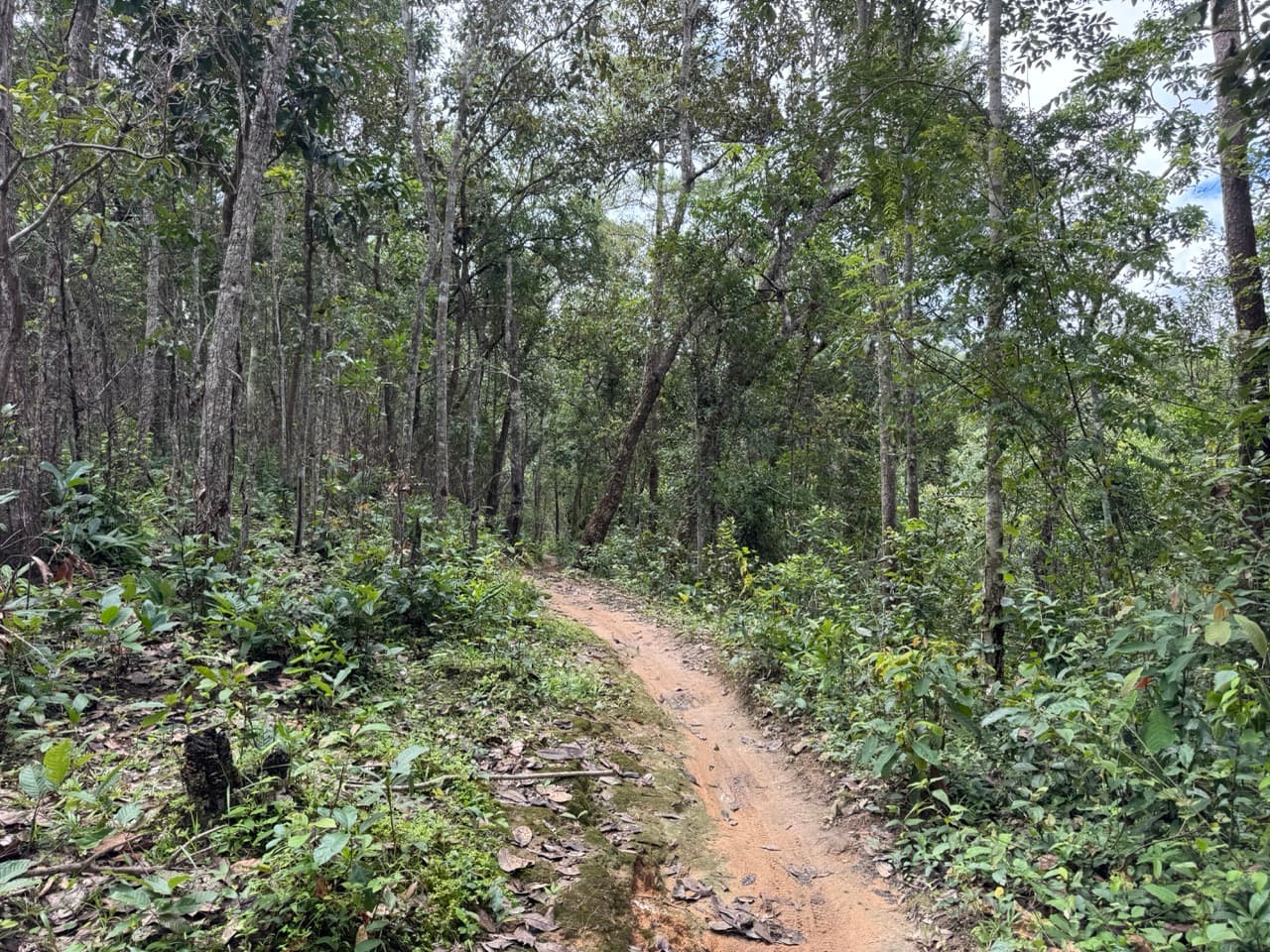 Samoeng to Mae Win Offroad — photo 30
