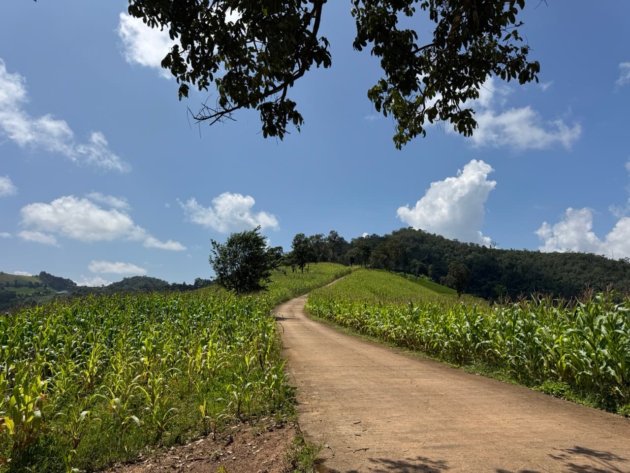 Phang Ma Pha Border Loop (Near Loi Tai Leng)