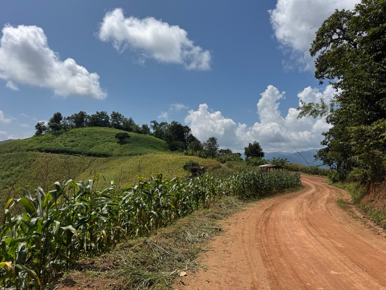 Phang Ma Pha Border Loop (Near Loi Tai Leng) — photo 7