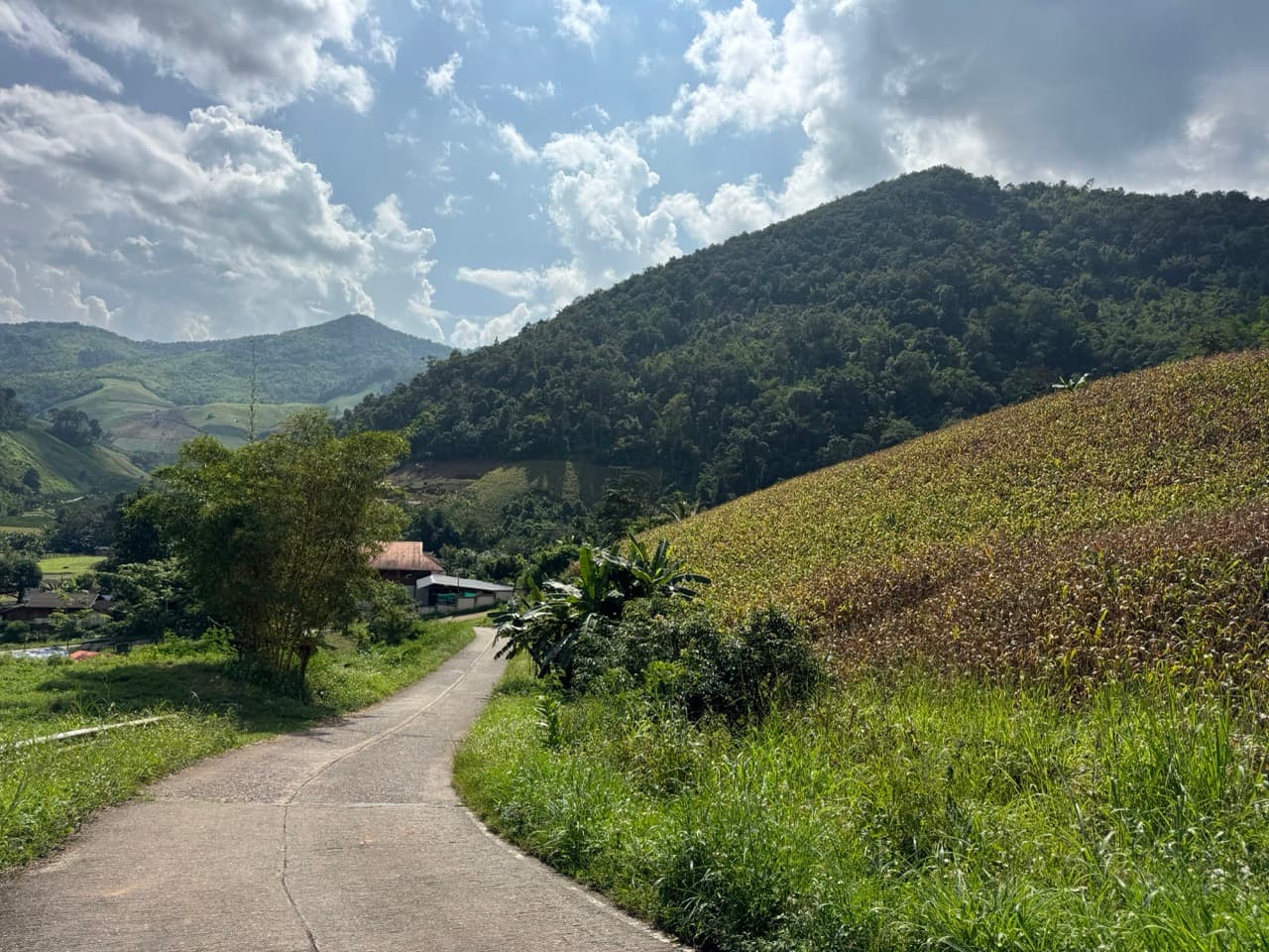 The Ban So Bae Loop Near Phang Ma Pha