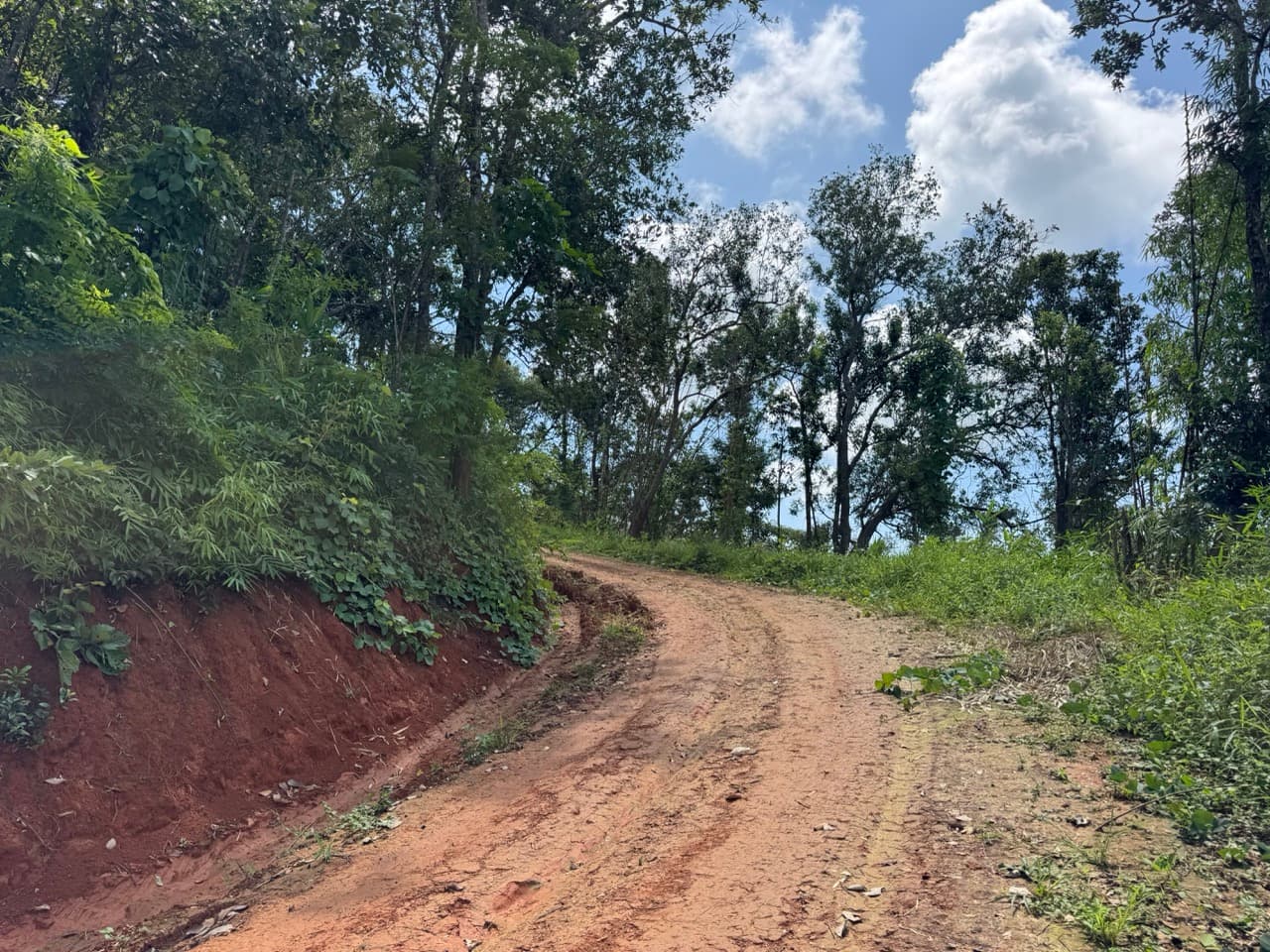 The Ban So Bae Loop Near Phang Ma Pha — photo 11
