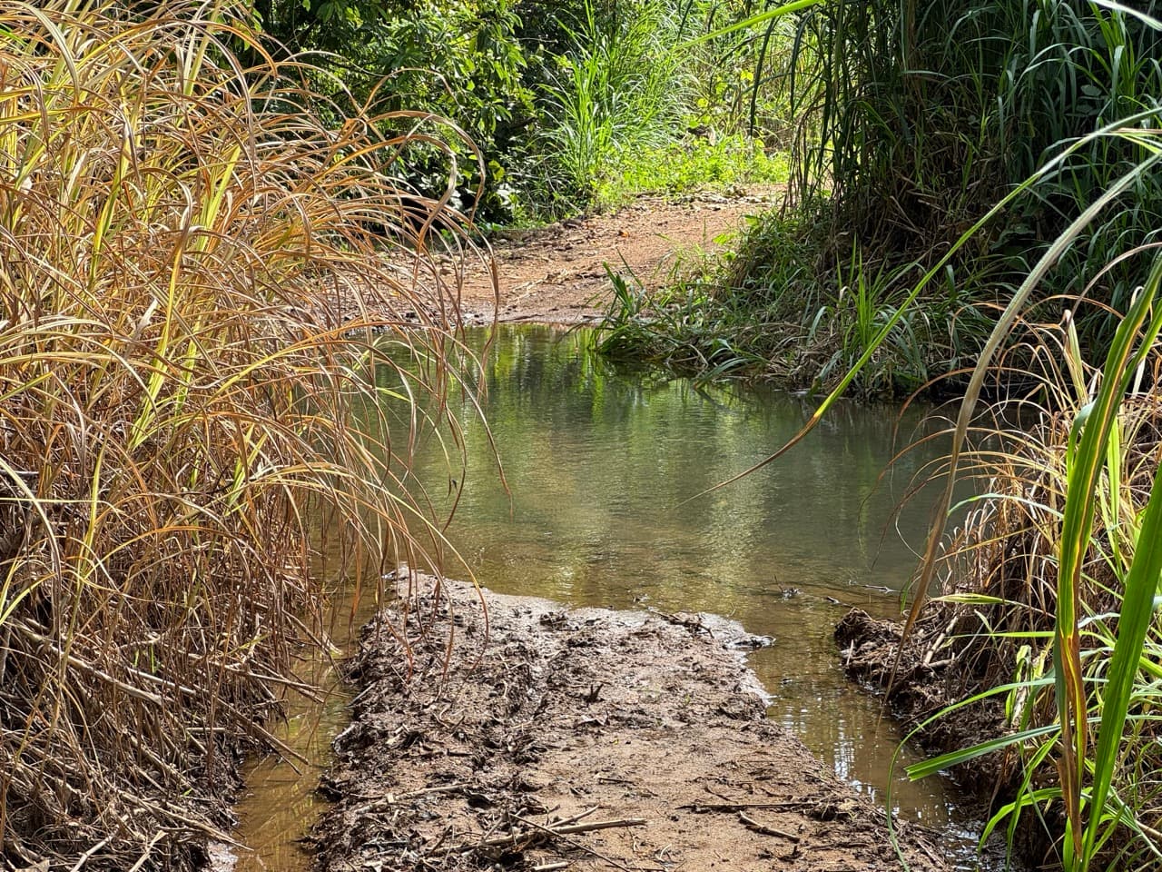 The Mae Hong Son River Run