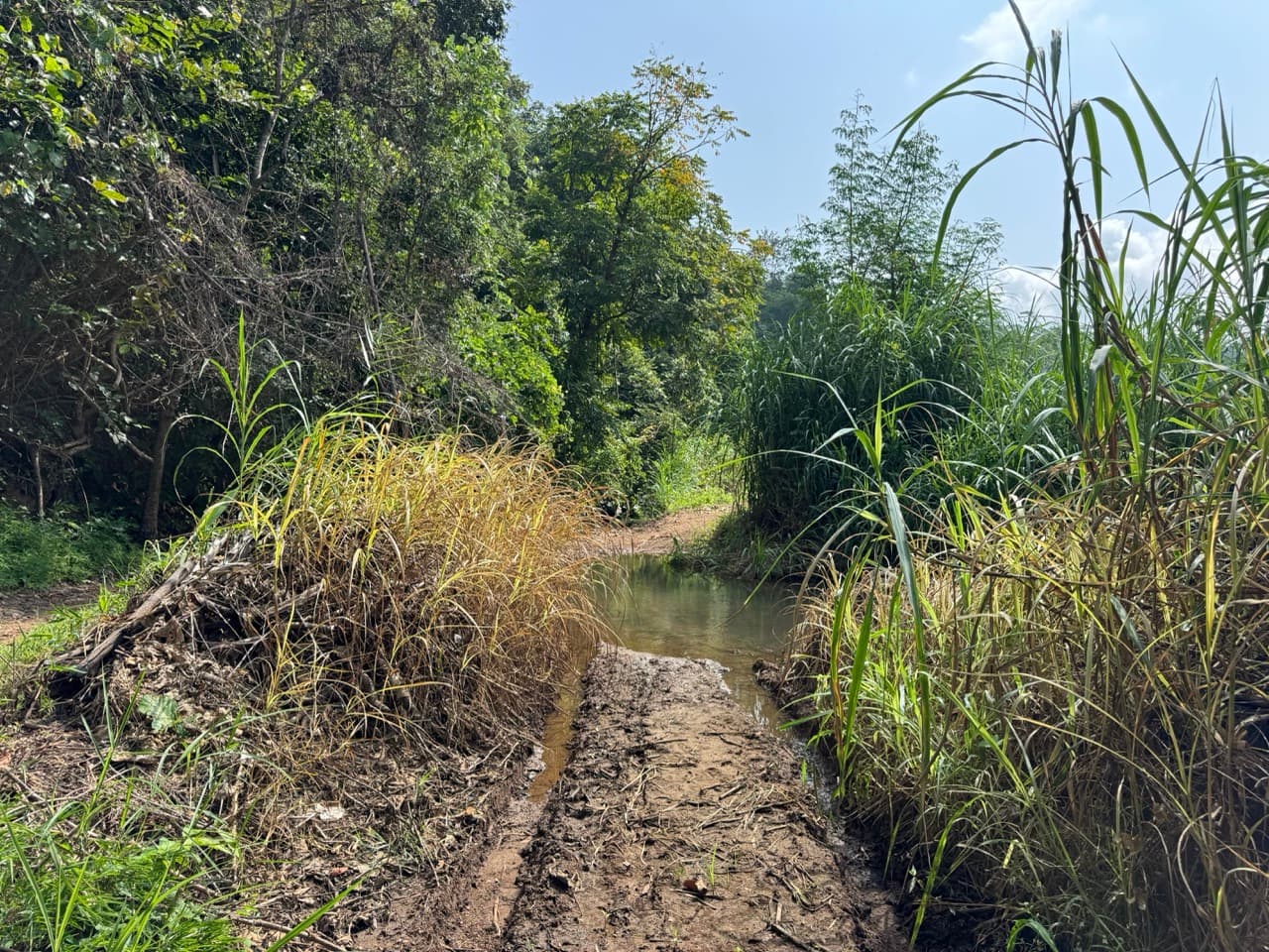 The Mae Hong Son River Run
