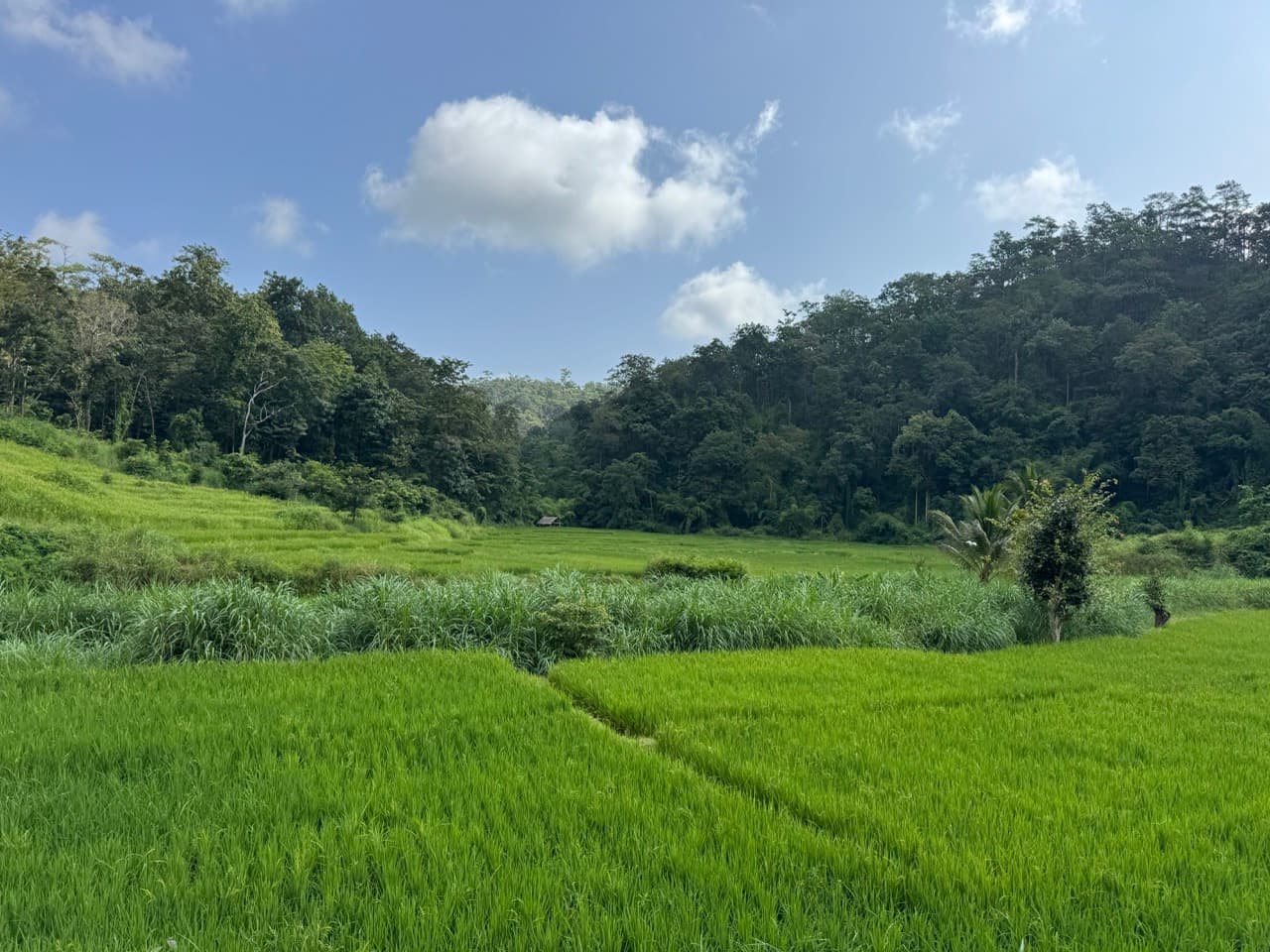 The Mae Hong Son River Run