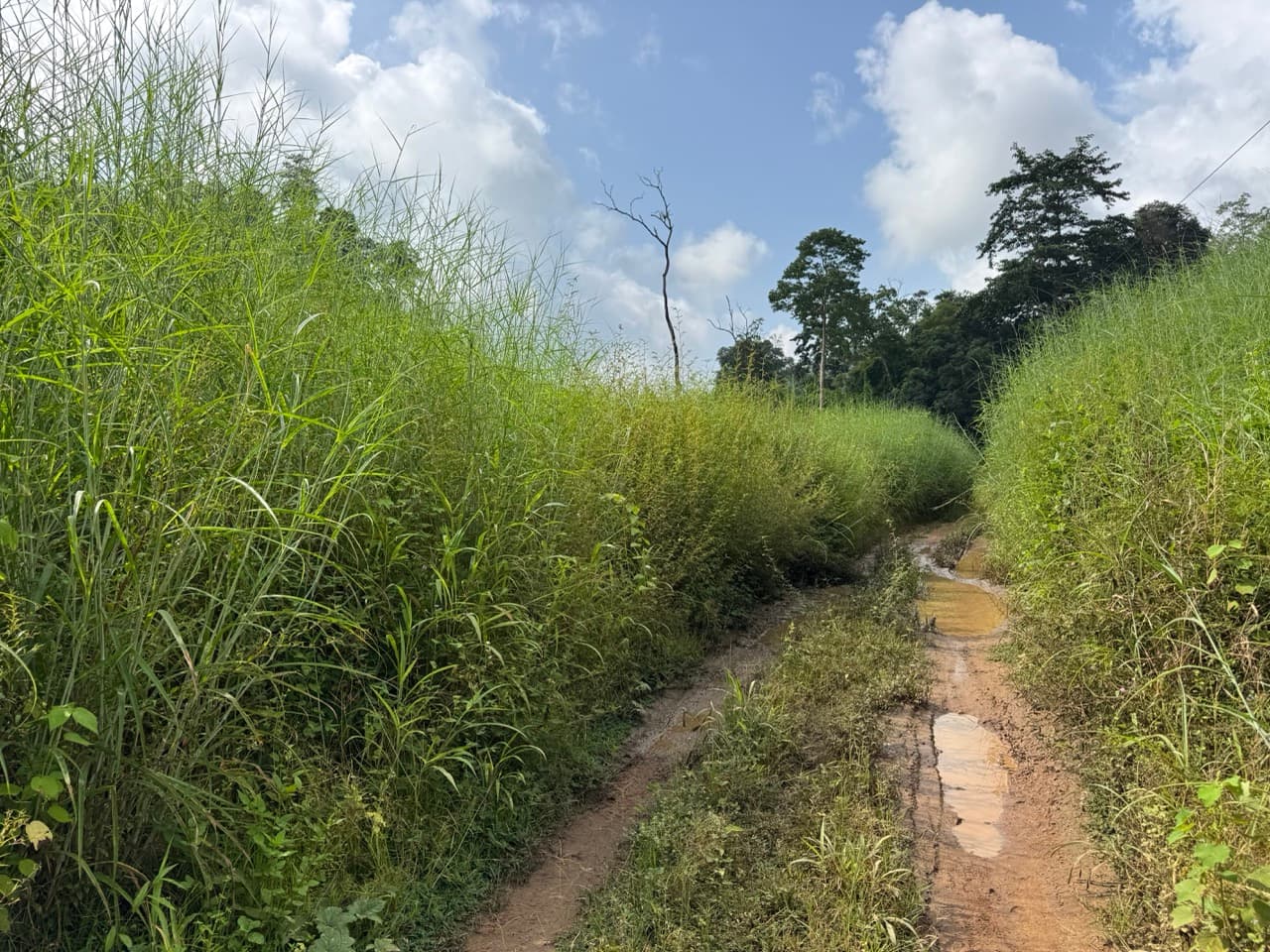 The Mae Hong Son River Run — photo 10