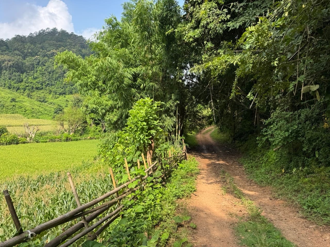 The Mae Hong Son River Run — photo 20