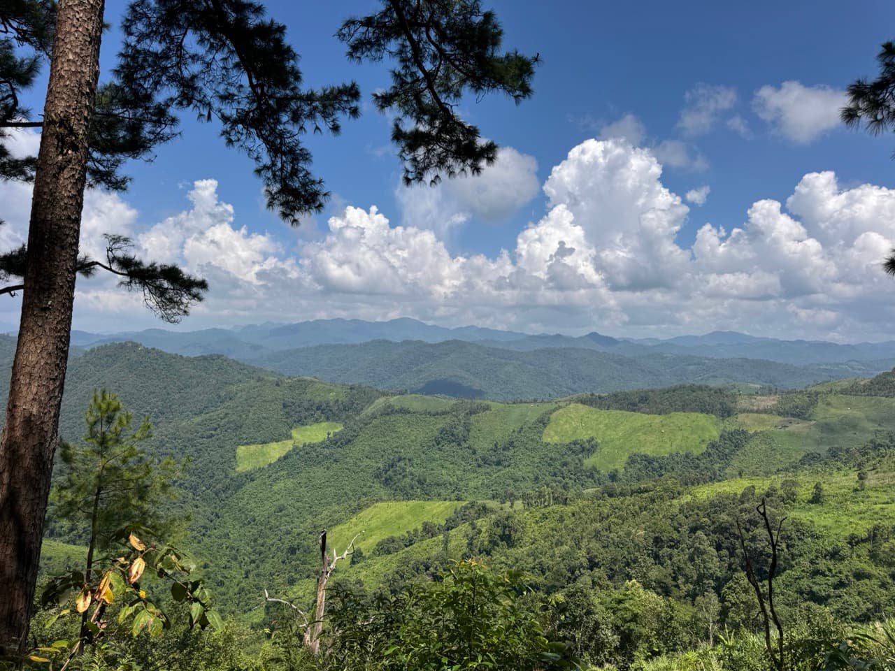 The Tail of the Elephant — photo 18