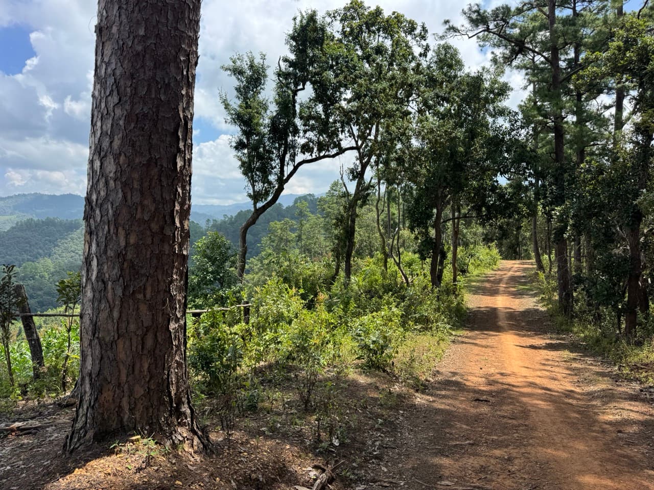 The Tail of the Elephant — photo 26