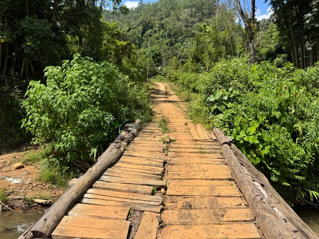 The Tail of the Elephant — photo 27