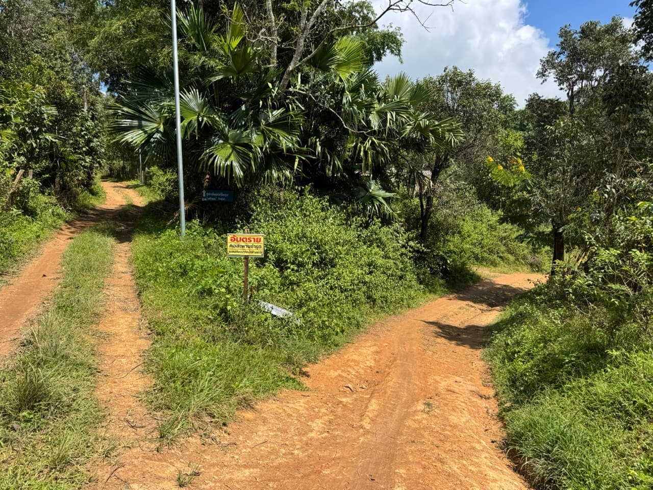 The Tail of the Elephant — photo 32