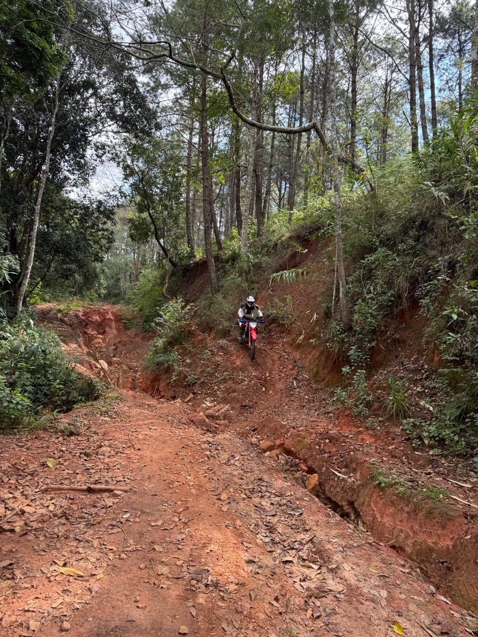 Steep, eroded, and rutted. The 250L found the inside line first, and the rest of us followed it claiming we had a plan.
