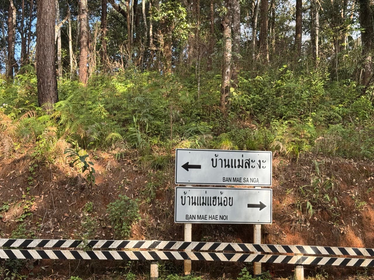 One of the rare signposts on this side of the loop — useful, especially if you missed the turn we missed twice.