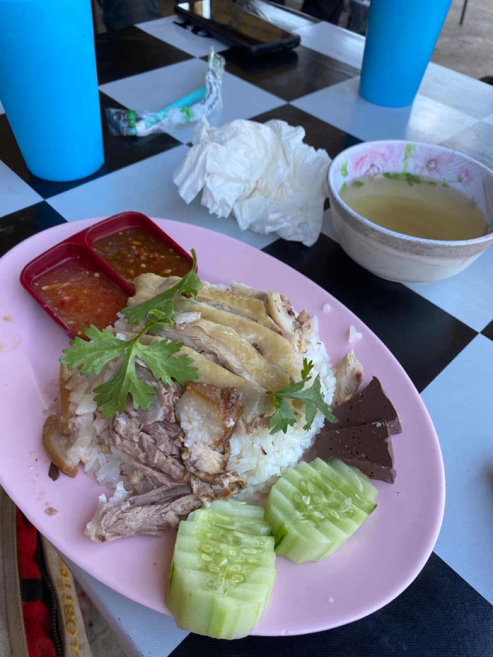 Lunch — Hainanese chicken rice at a Forest Department staging area near Mae Wang.