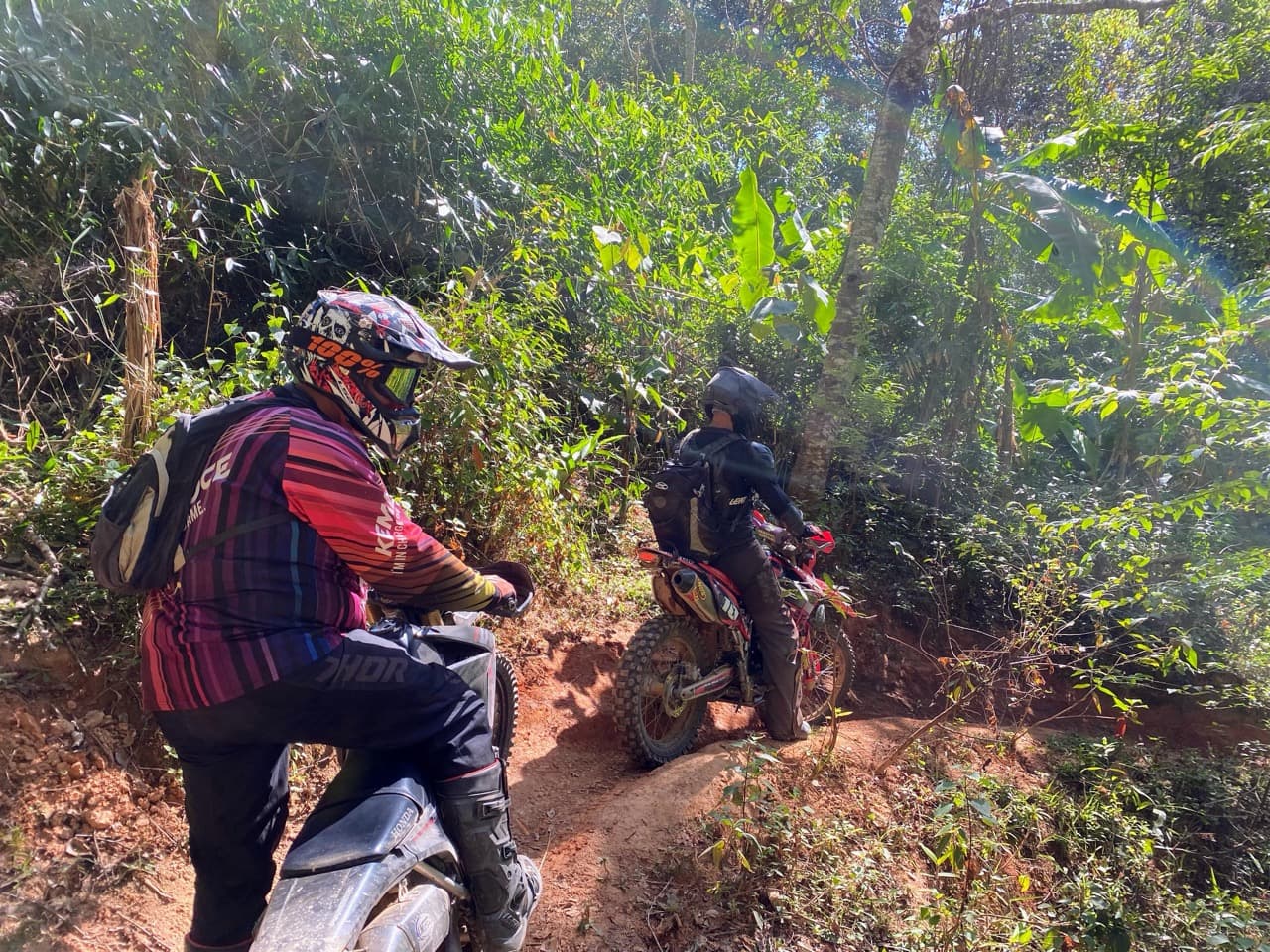 The first bamboo tunnel of the day. The trail you came for.