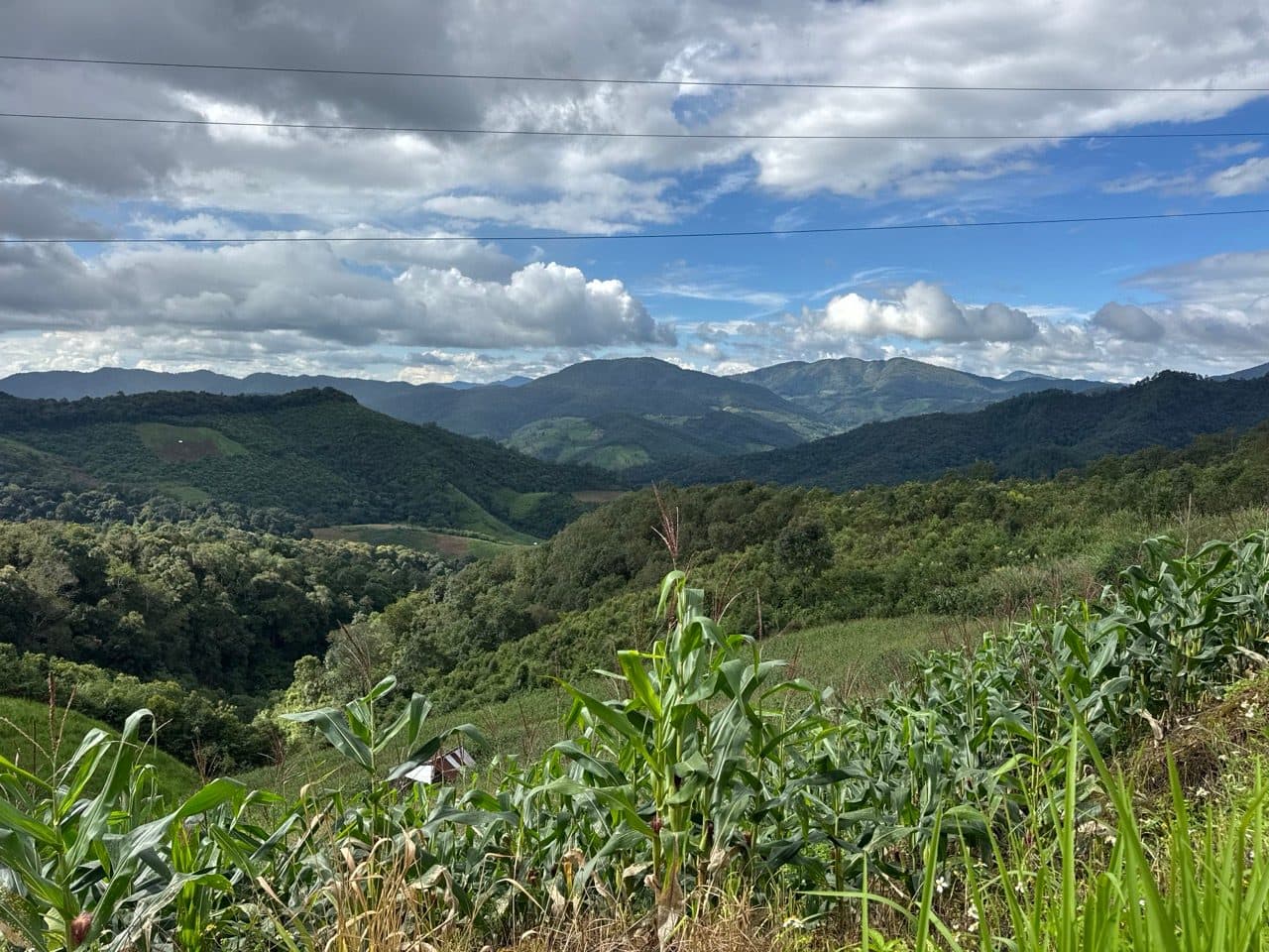 Corn in the foreground, ridgelines running off to the north.
