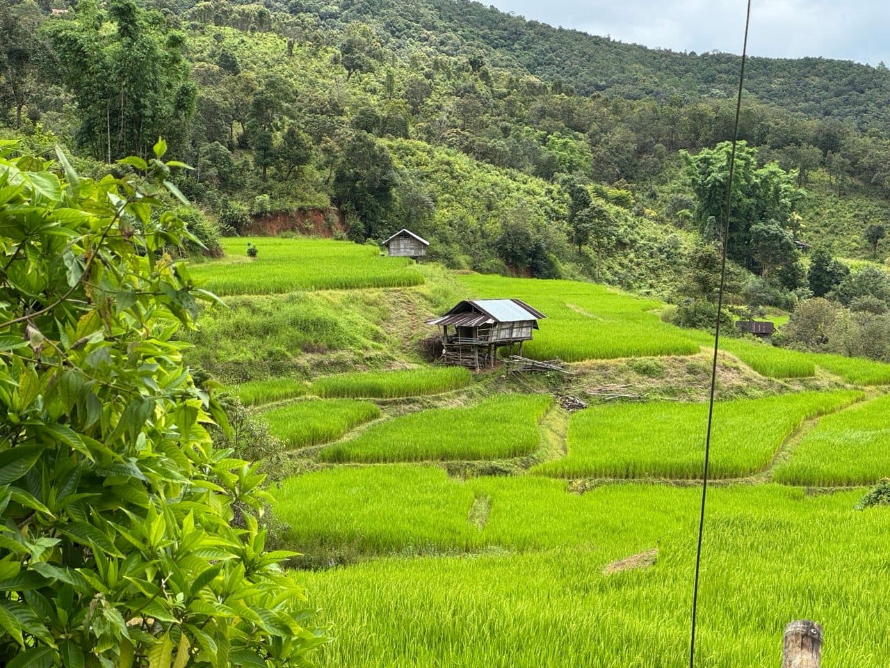 Terraced rice and field huts, a few hundred metres in.