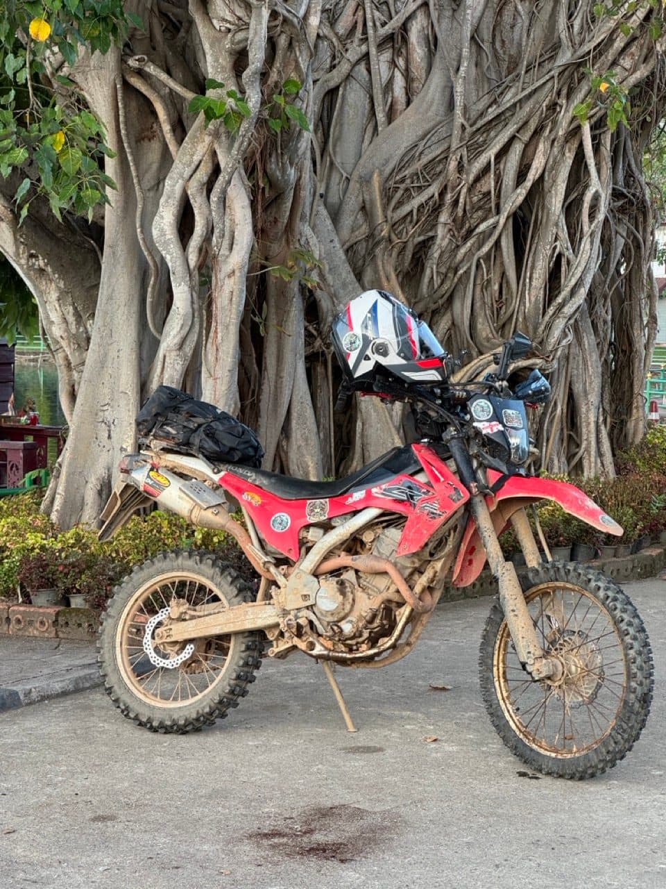 Parked under the banyan by the lake, filthy.
