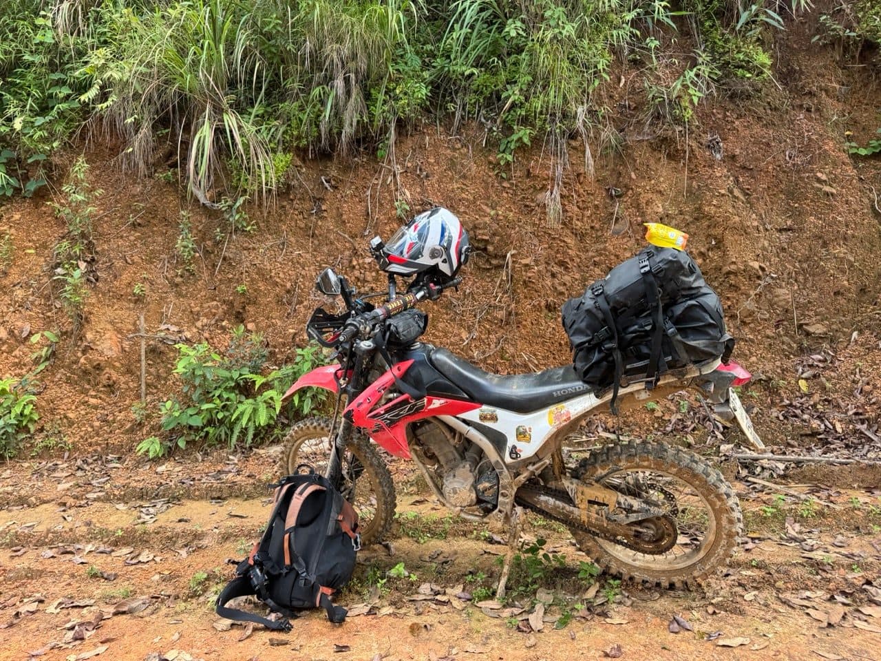 The 250 parked on the forest track.