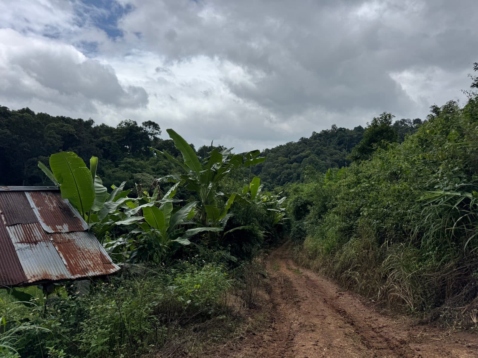 Out the bottom — a tin roof, red doubletrack, and weather building over the hills.