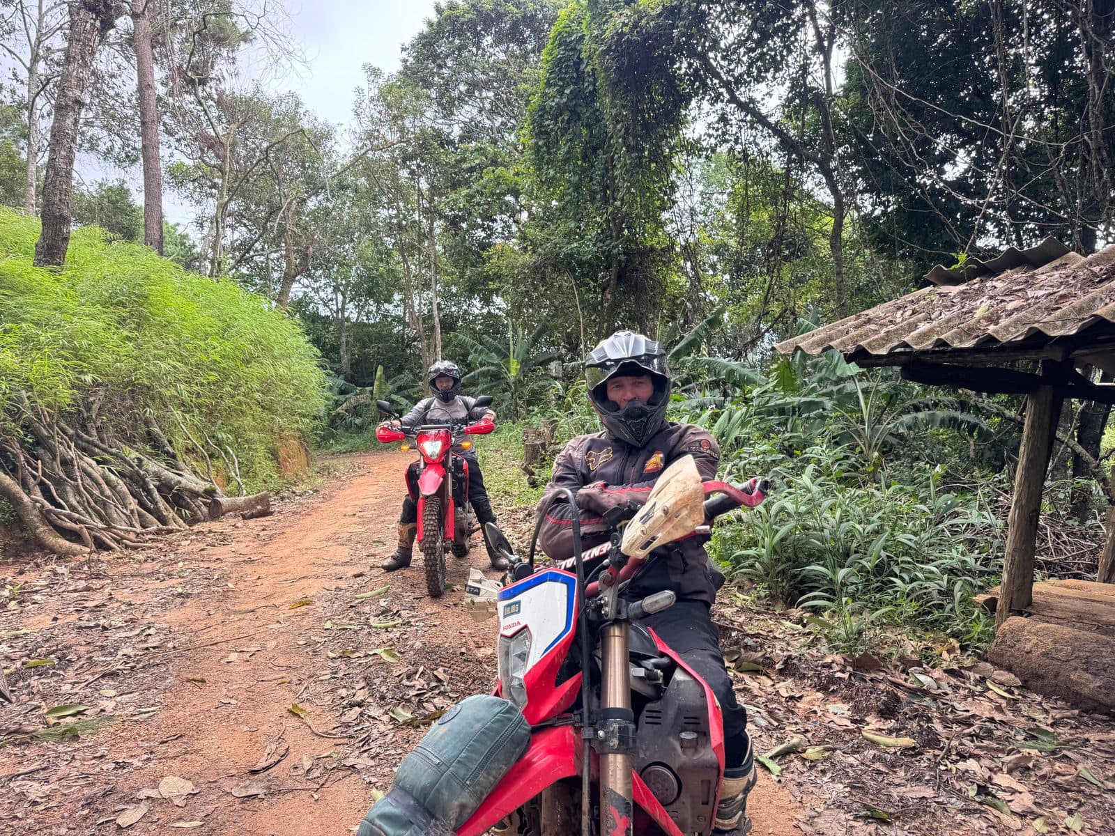 Climbing past a bamboo grove and a field shelter, around 1,300 m.