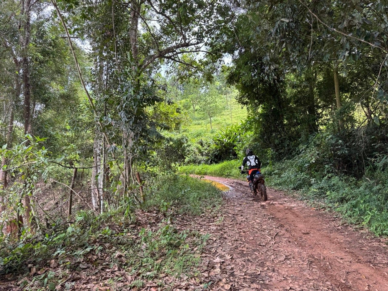 Heading down into the green on wet red clay
