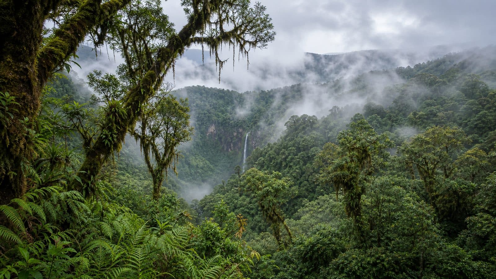 Doi Inthanon National Park — park photo