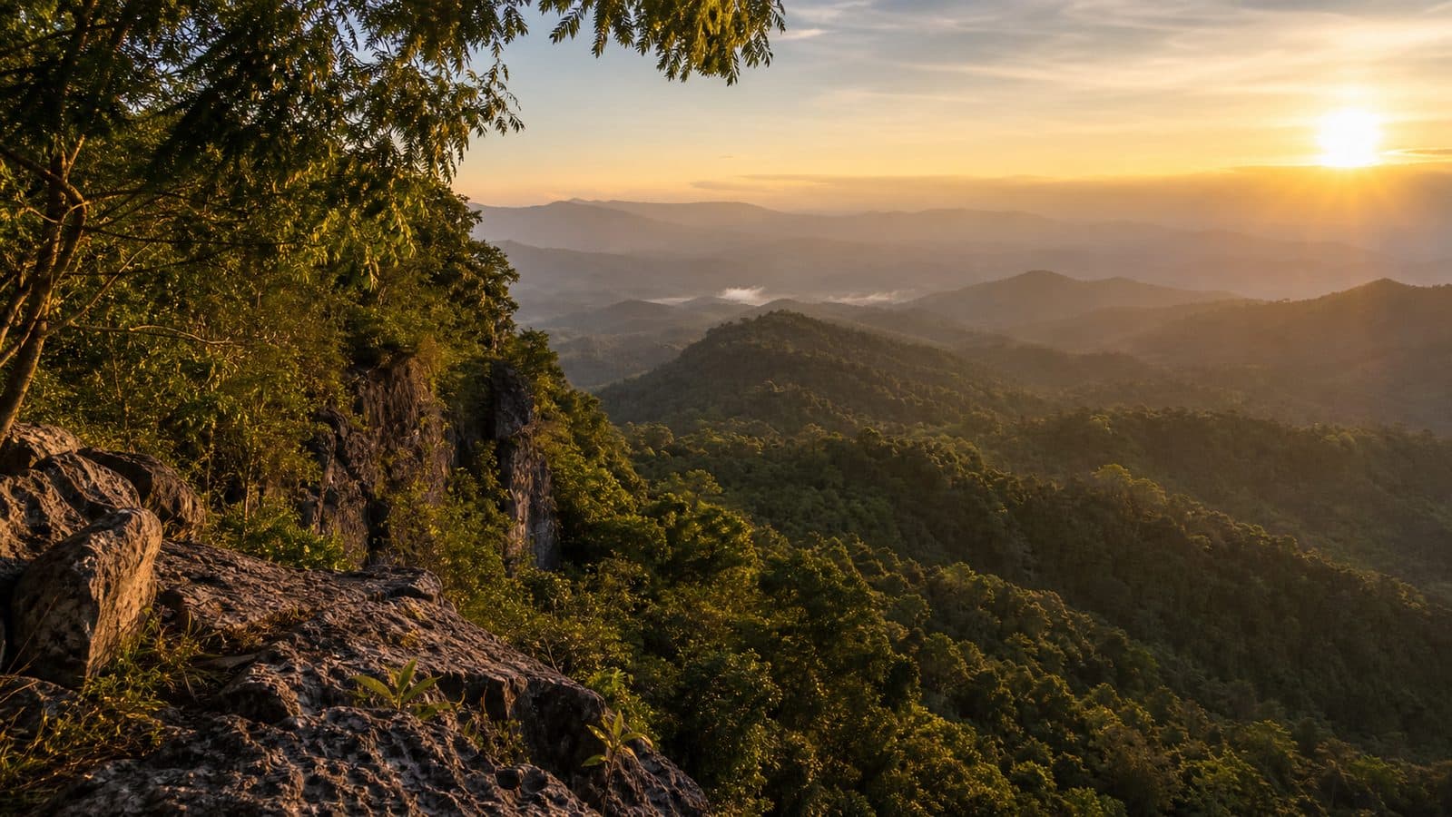 Doi Pha Chang Forest Park — park photo