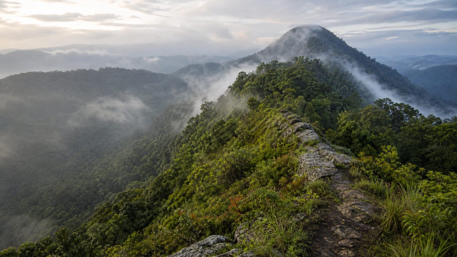 Doi Pha Mueang Forest Park — park photo