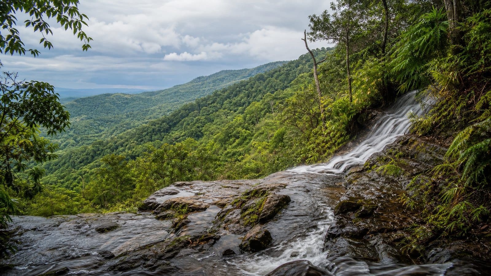 Doi Phra Bat National Park — park photo