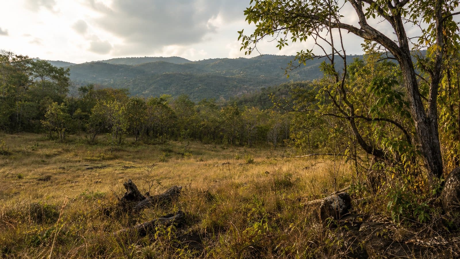 Huai Kha Khaeng Wildlife Sanctuary — park photo