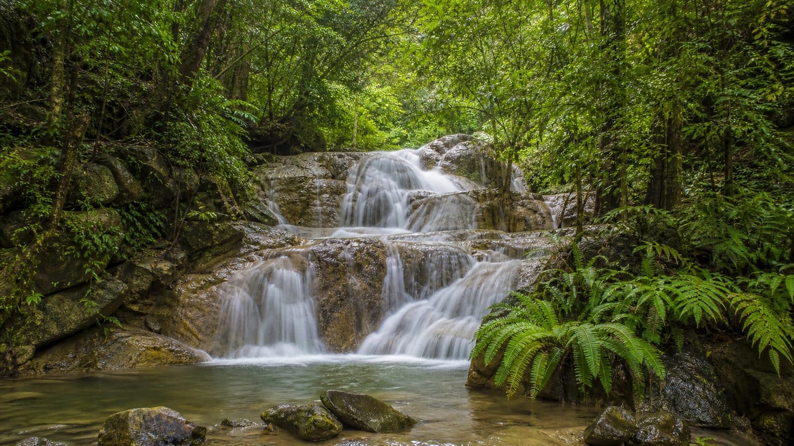 Huai Mae Khai Waterfall Forest Park — park photo