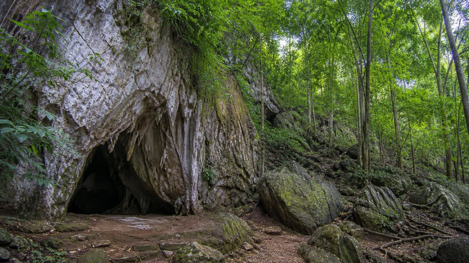 Kaeo Komon Cave Forest Park — park photo