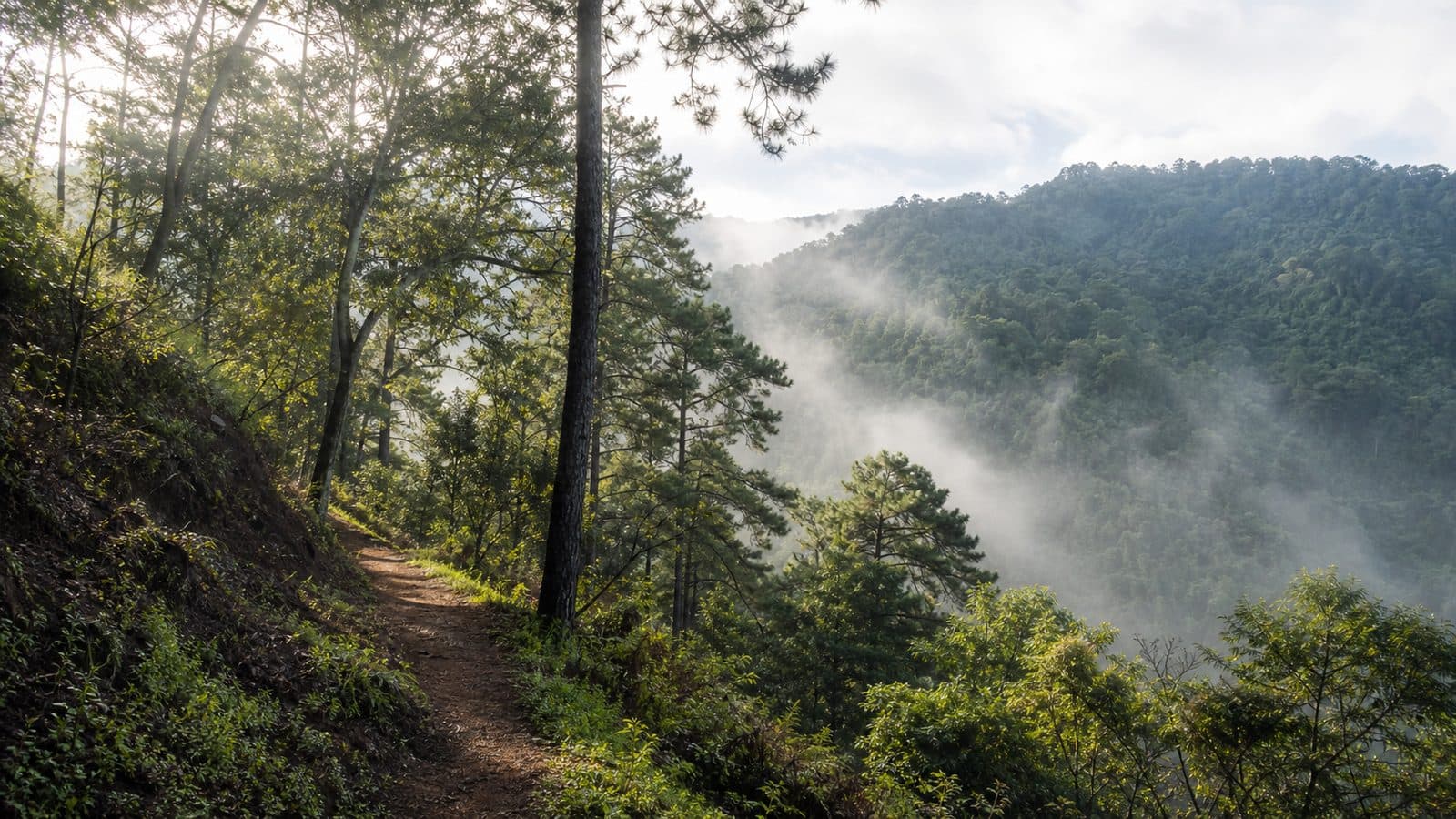 Khun Khan National Park — park photo