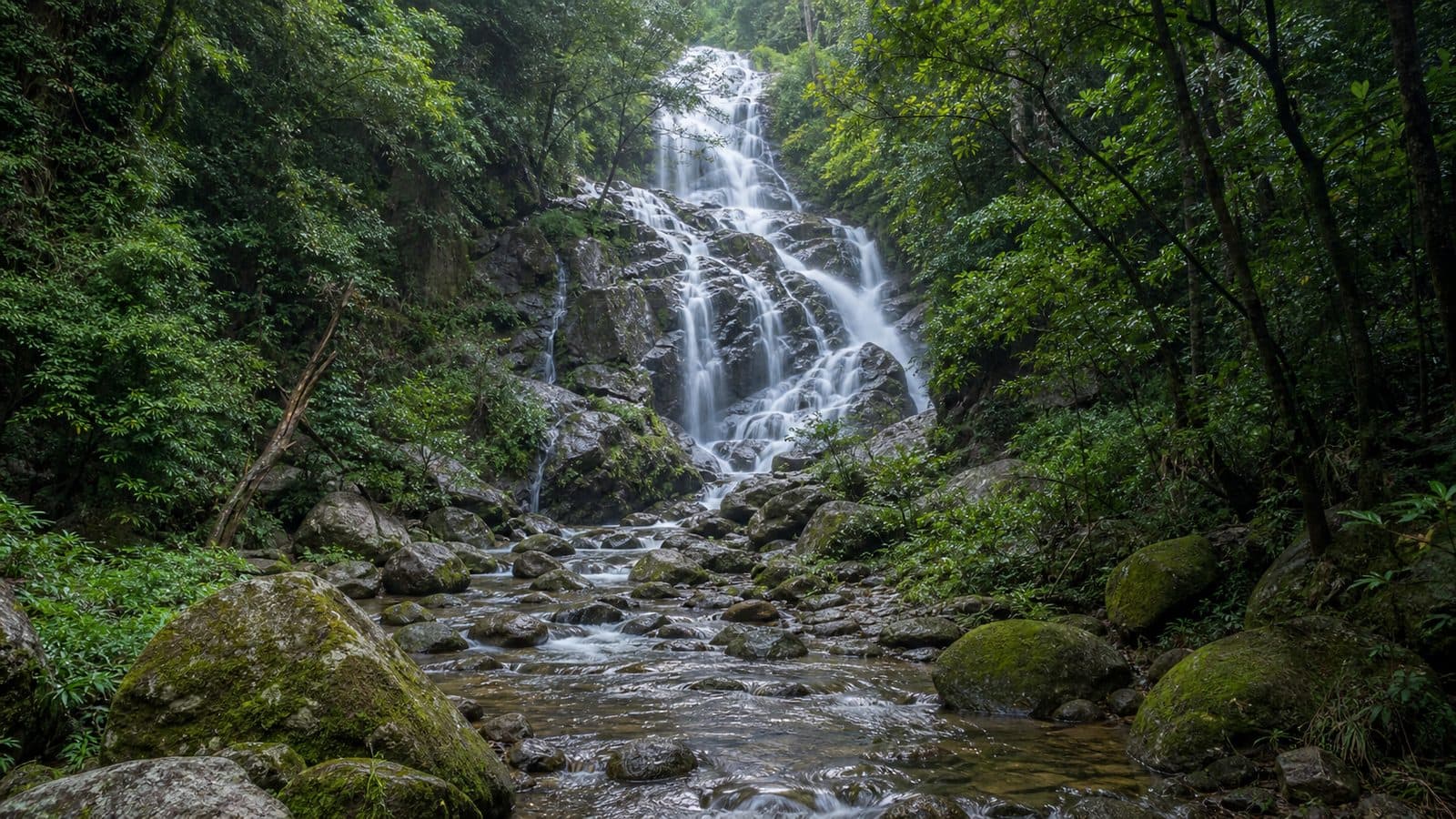 Khun Nam Yap Forest Park — park photo