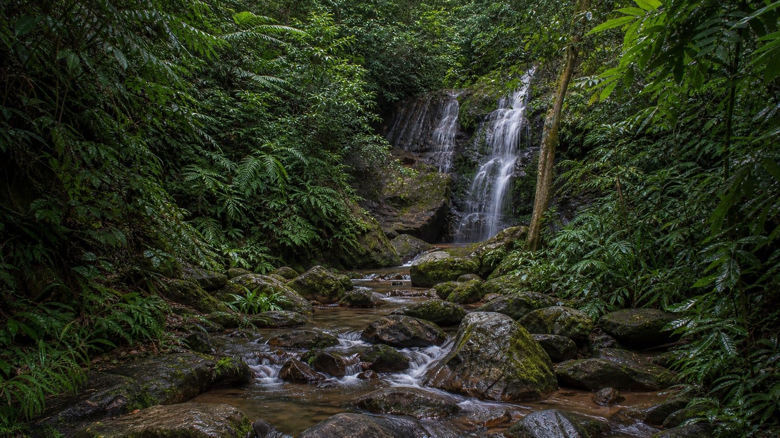 Mai Sang Nam Waterfall Forest Park — park photo