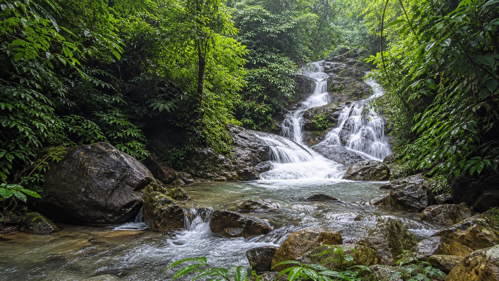 Mio Cho Tae Waterfall Forest Park — park photo