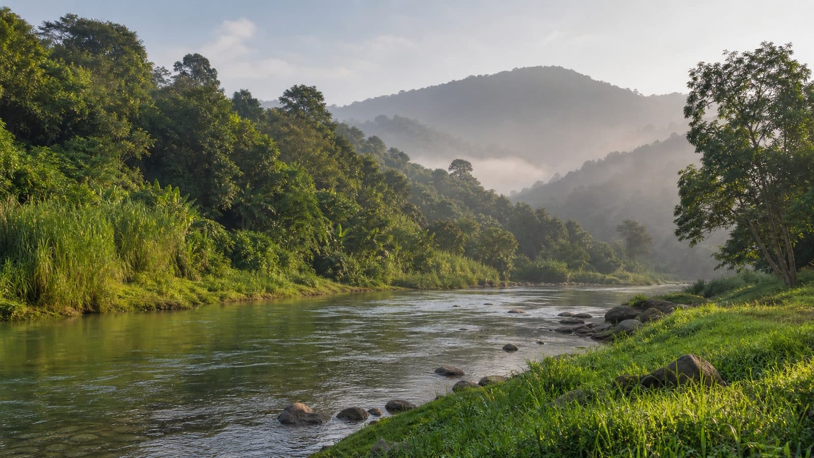 Nan River Right Bank Forest — park photo