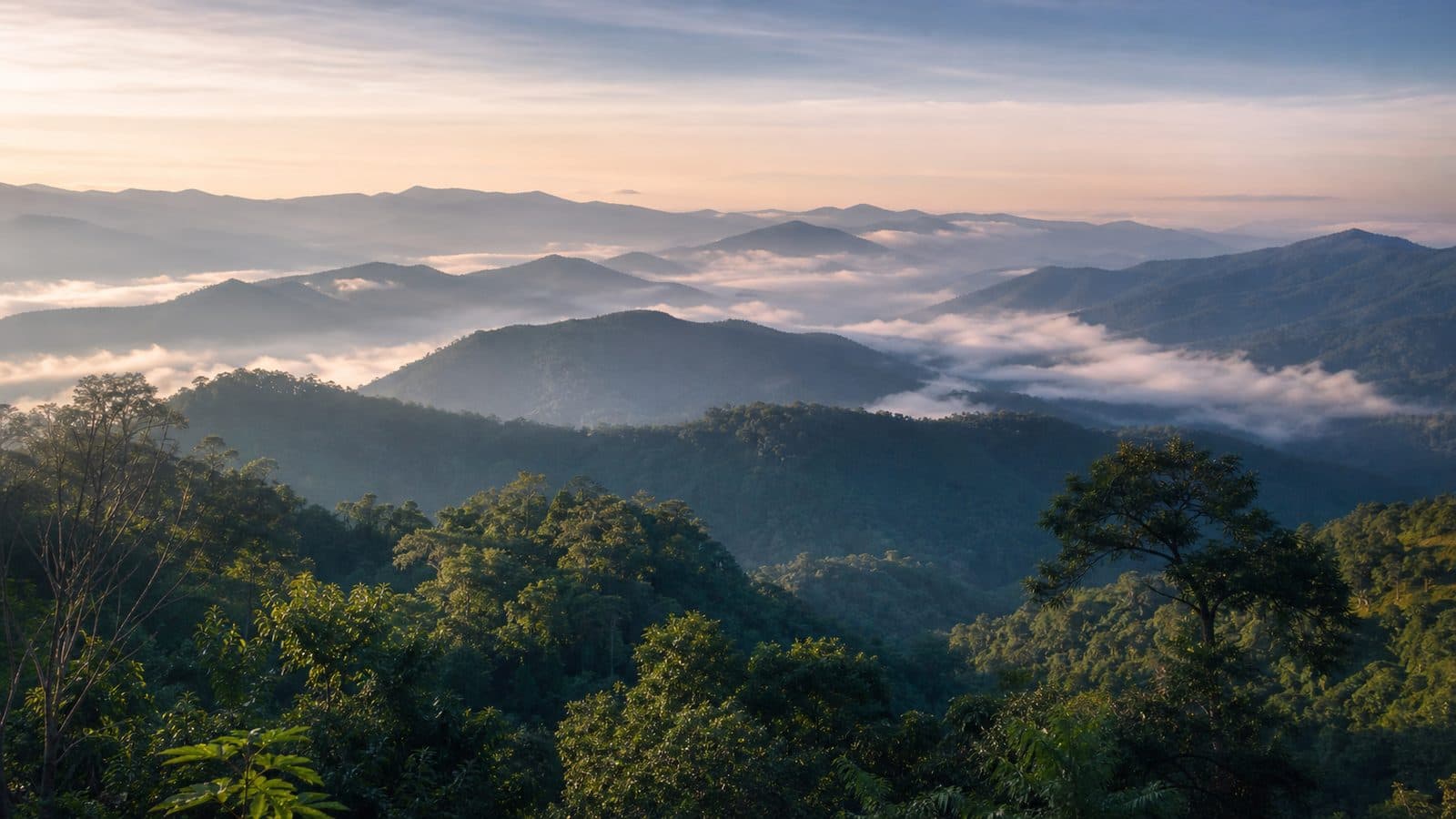 Pai Watershed Wildlife Sanctuary — park photo