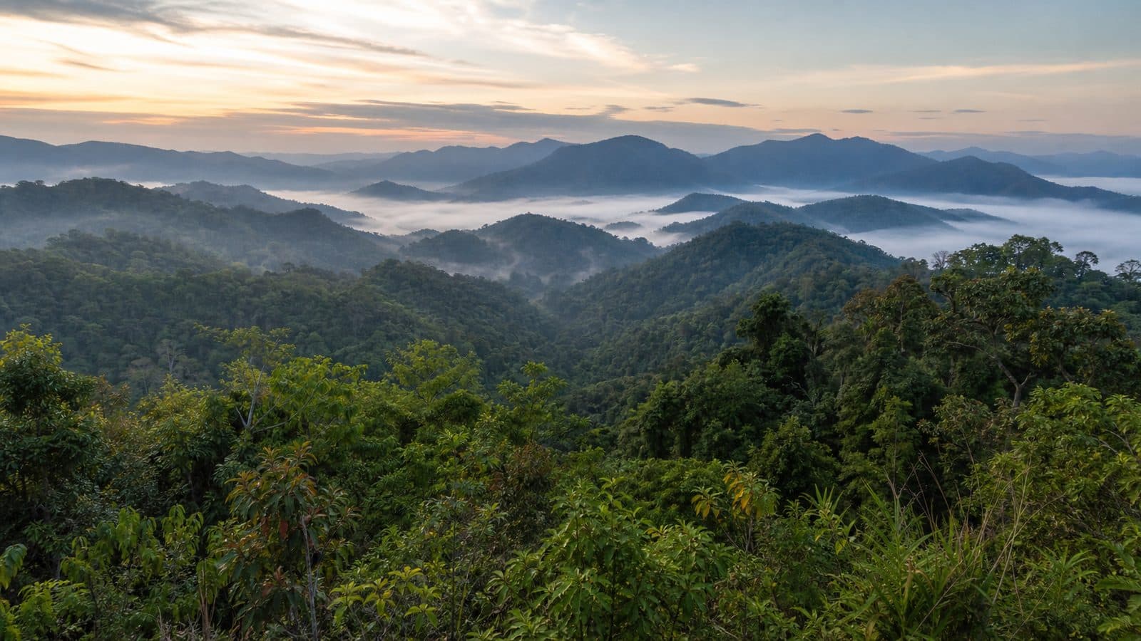 Phaya Phiphak Forest Park — park photo