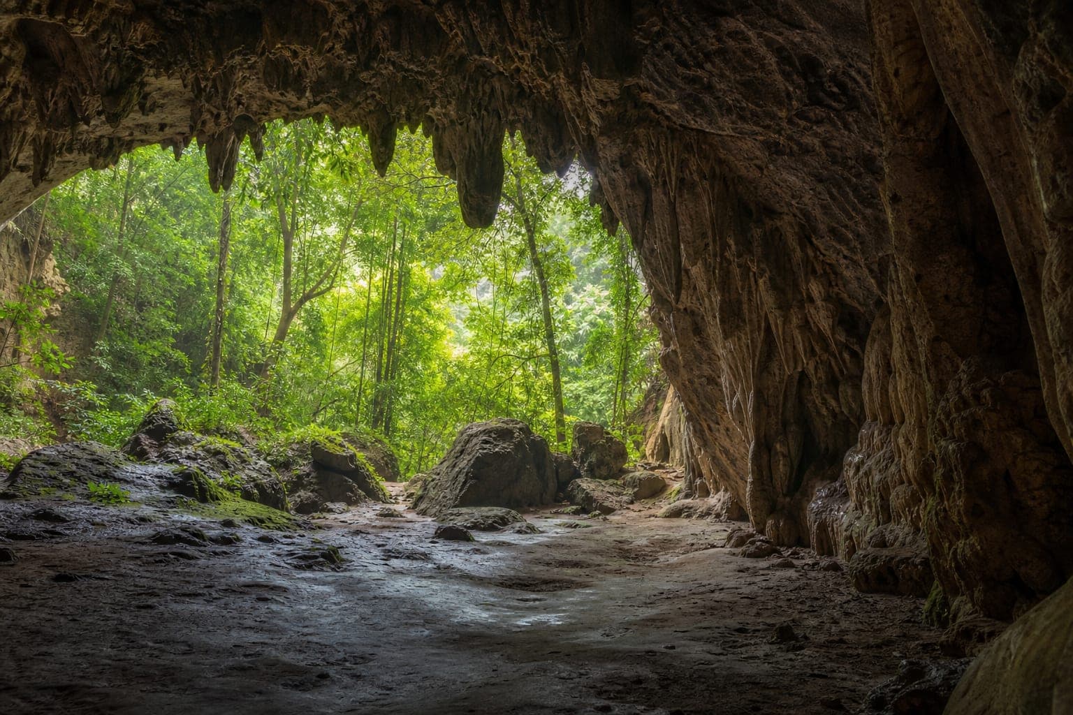 Tham Lom – Tham Wang Forest Park — park photo
