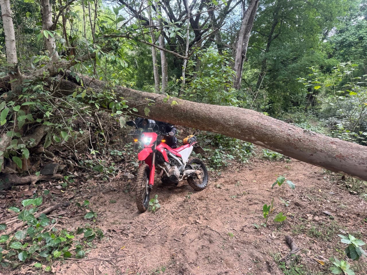A Mae Wang Dirt Loop (Near Doi Inthanon)