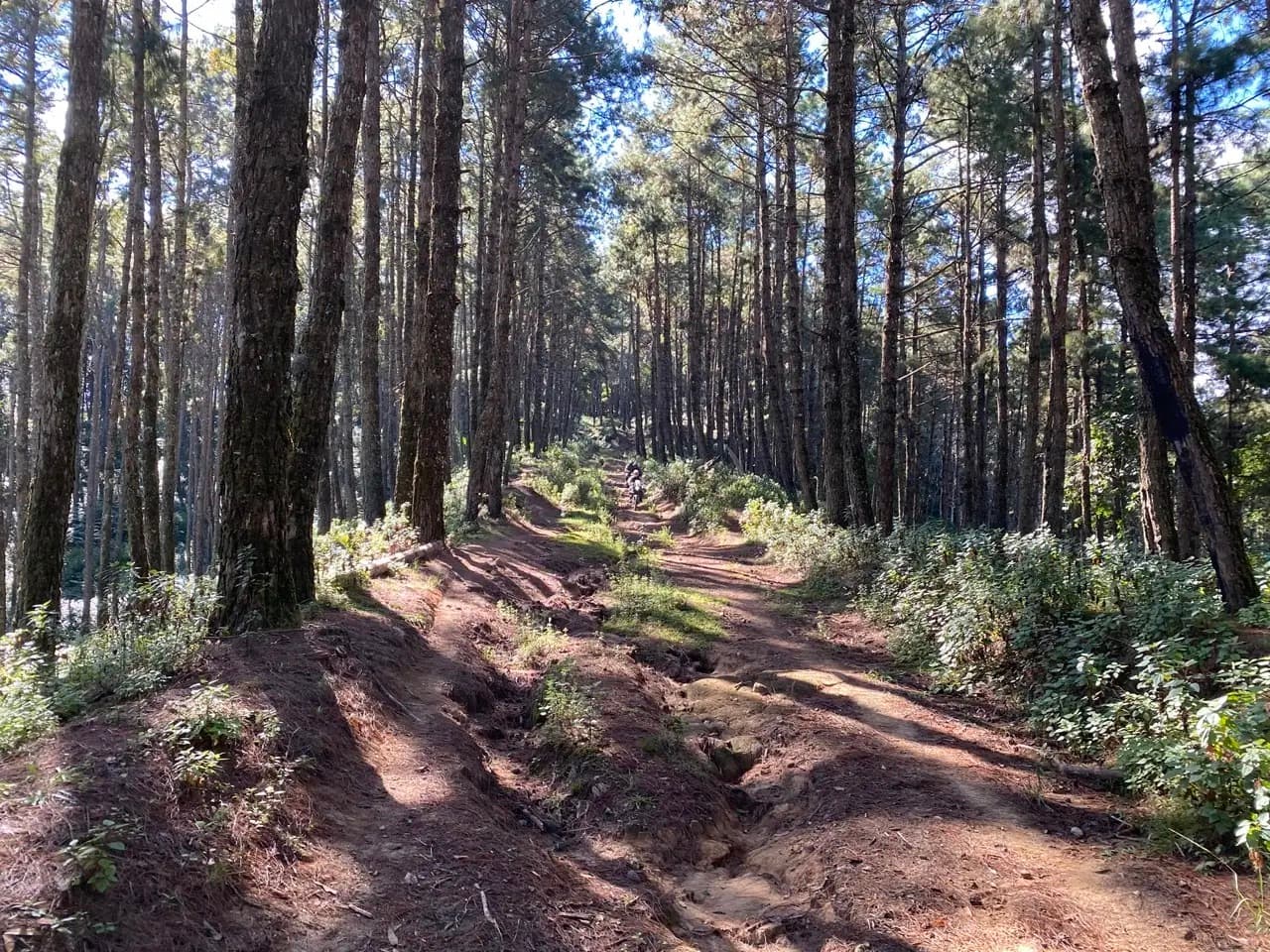Muang Khong to Mae Taeng