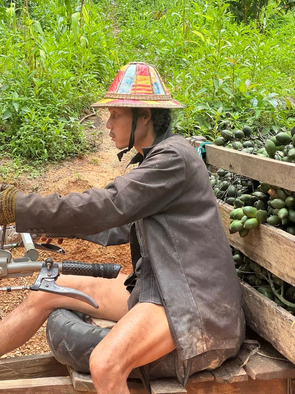 Baan Plueng Klueng to Baan Lee Tong Ku