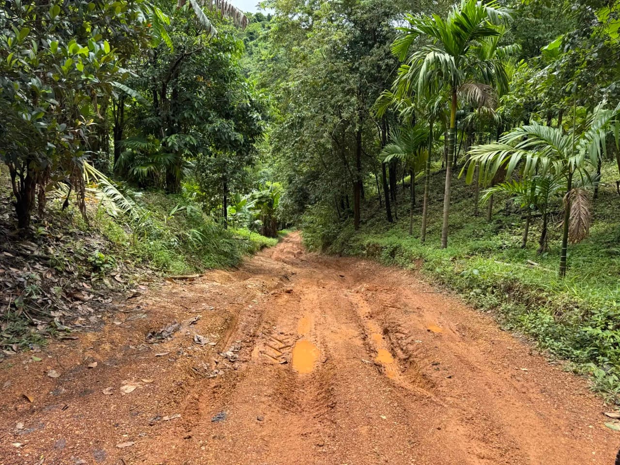 Baan Plueng Klueng to Baan Lee Tong Ku