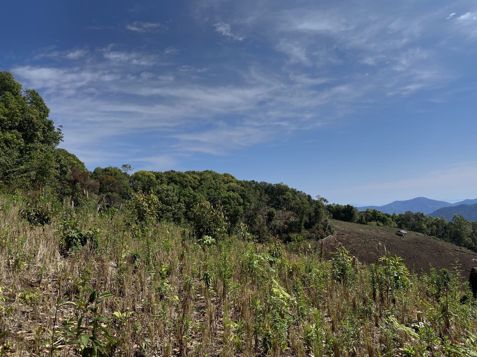 Mae Rim Dirt Trails
