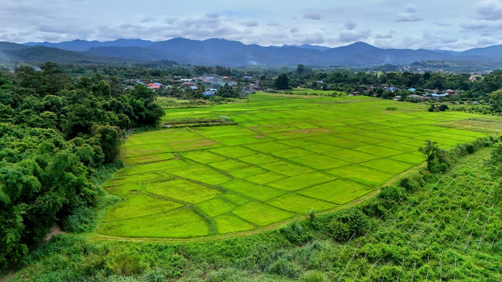 The Phrao Loop