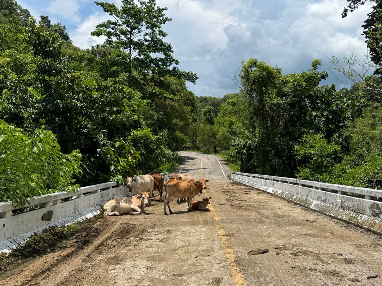 Mae On River Run and Up to Mae Kampong