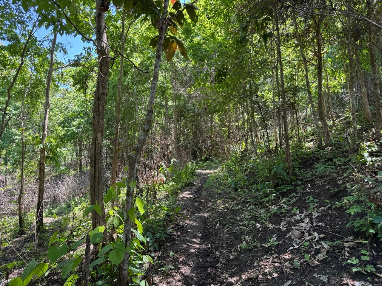 Mae On River Run and Up to Mae Kampong