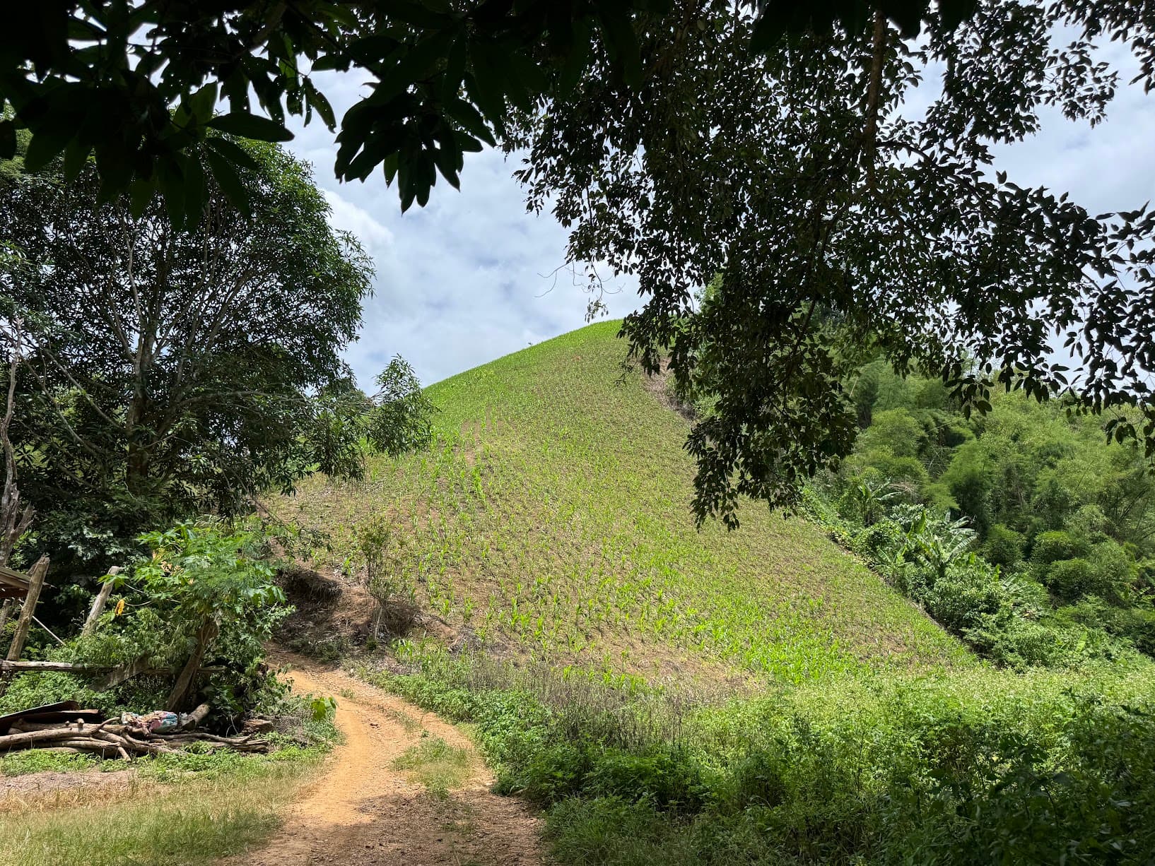 Lampang Farm Roads Explorer