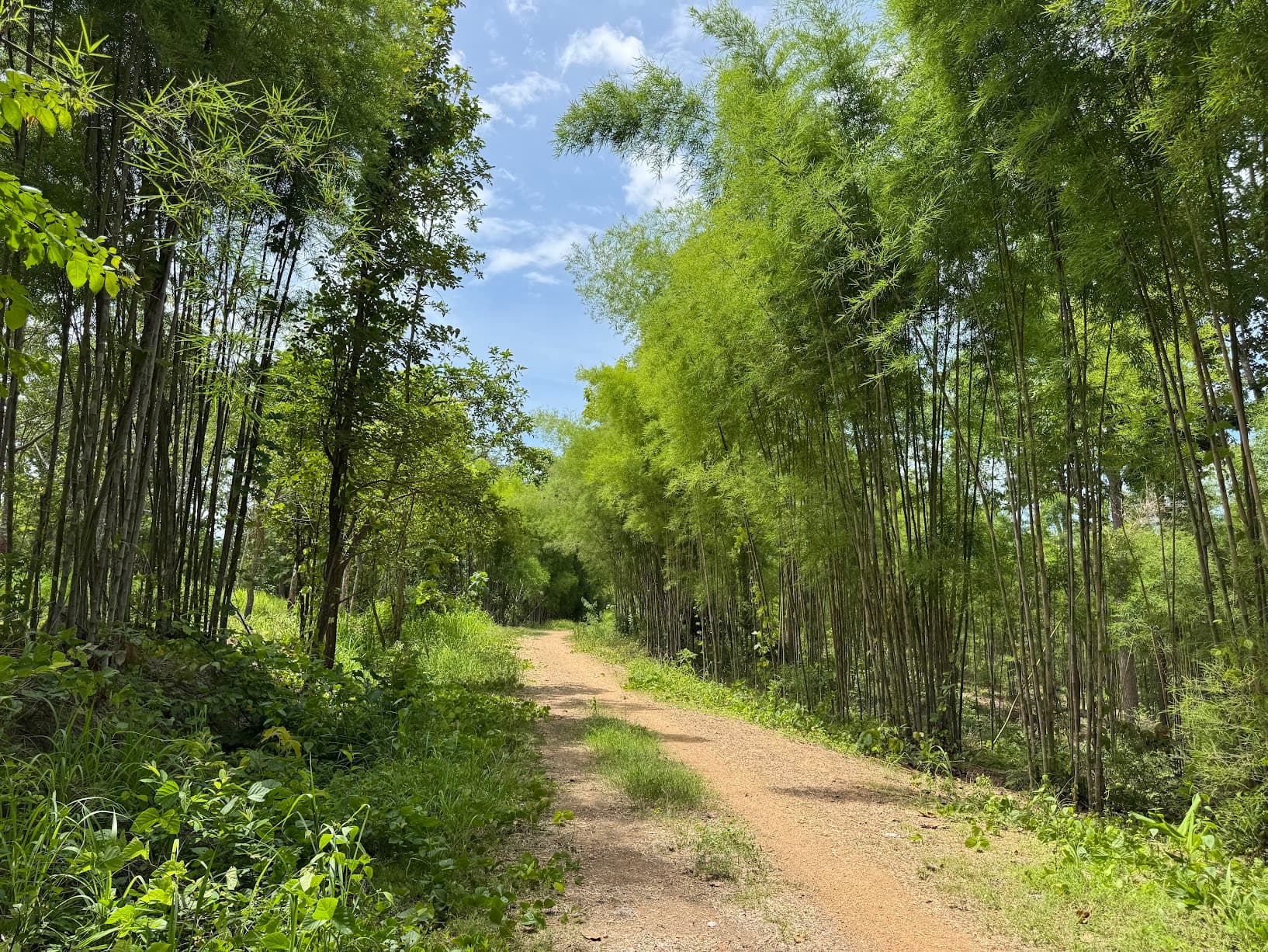 Lampang Farm Roads Explorer